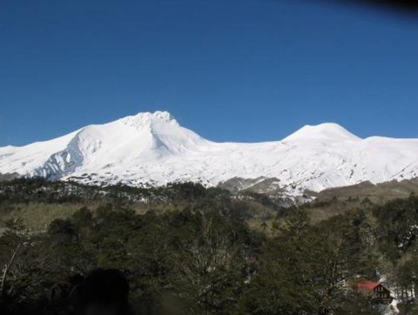 Mocho Choshuenco National Reserve