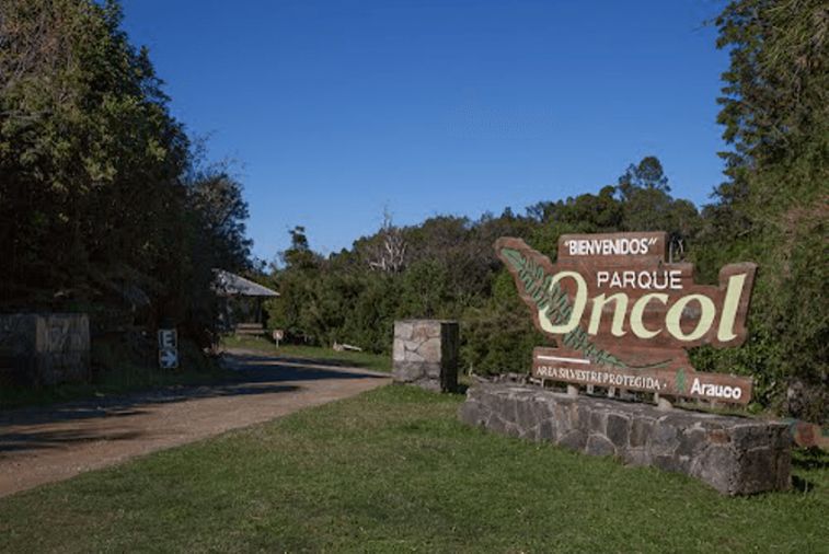 Oncol Park