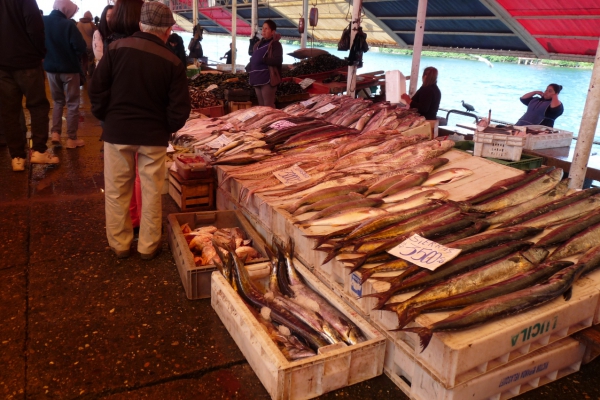 Valdivia River Market