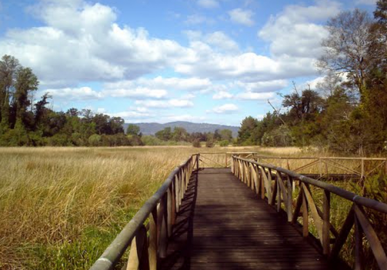 Urban Park El Bosque