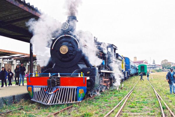 Steam Train Valdivia – Antilhue