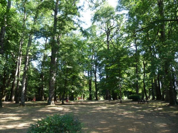 Santa Inés Park